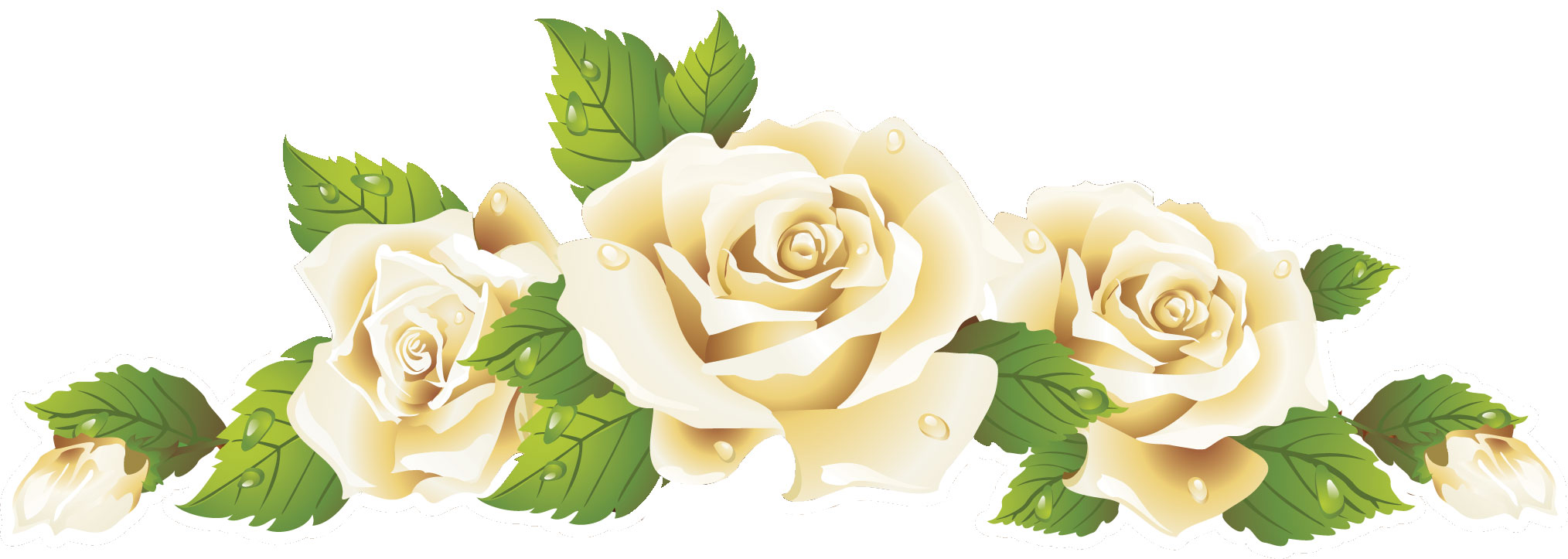 花のライン線イラスト-白バラ