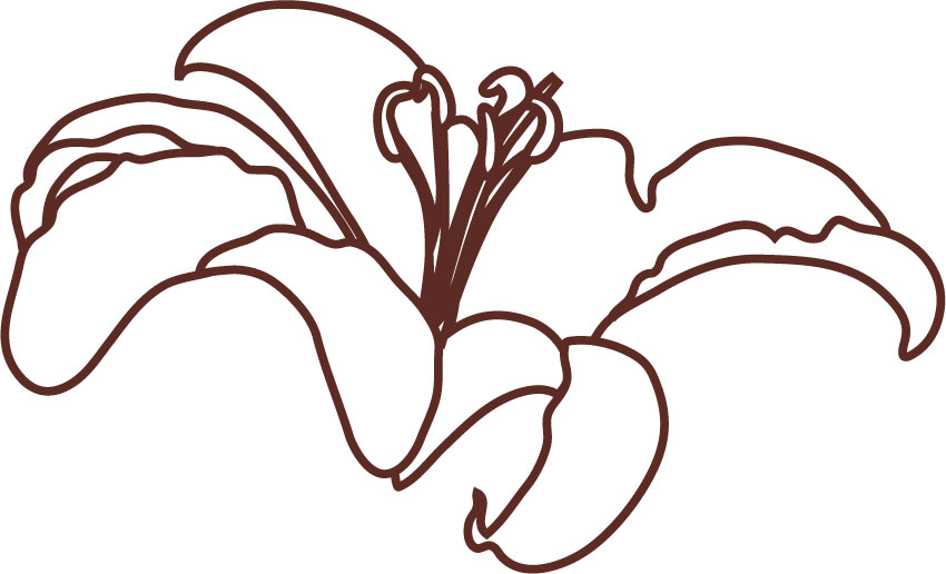 白黒 モノクロの花のイラスト フリー素材 花一輪no 733 ユリ