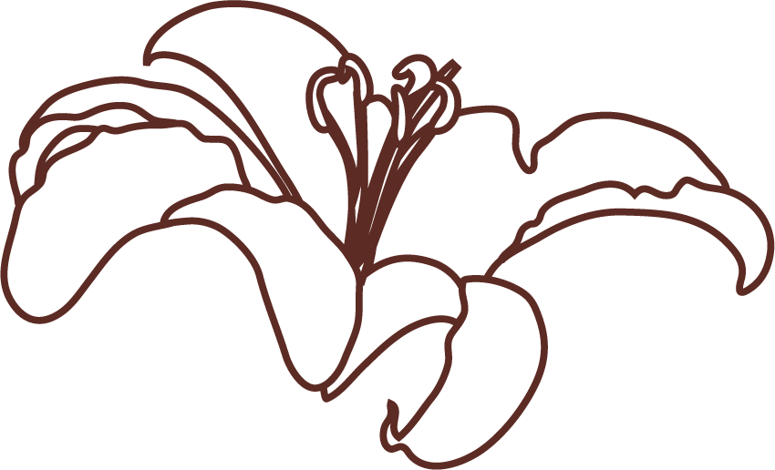 白黒 モノクロの花のイラスト フリー素材 花一輪no 733 ユリ