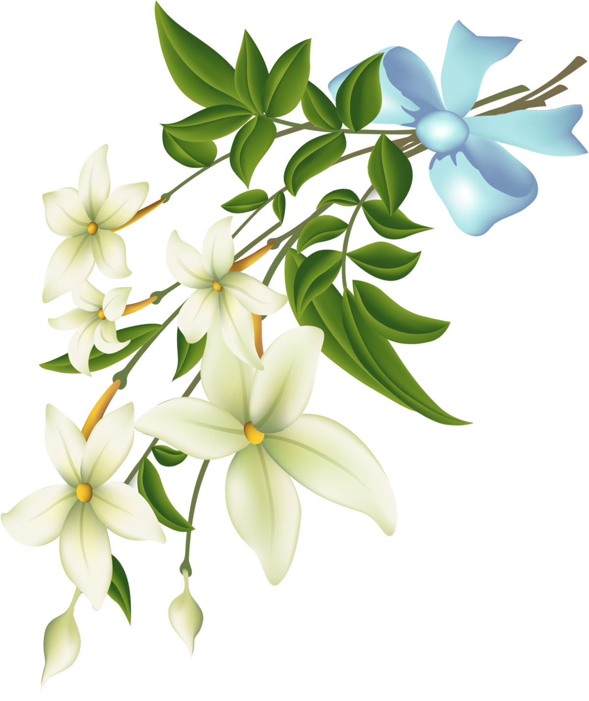 白い花のイラスト フリー素材 No 179 花束 つぼみ 青リボン