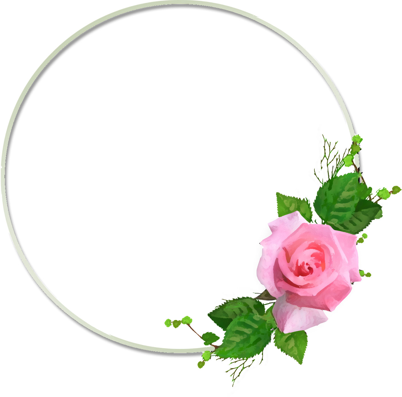 リアルな花のイラスト フリー素材 フレーム枠no 1118 ピンクのバラ 葉