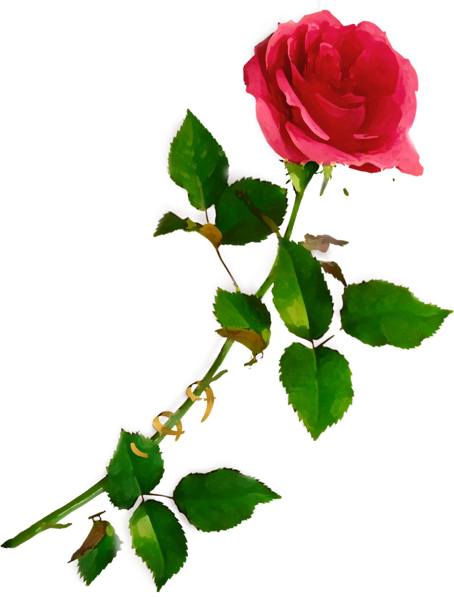 薔薇のイラスト見本-赤バラ・茎葉