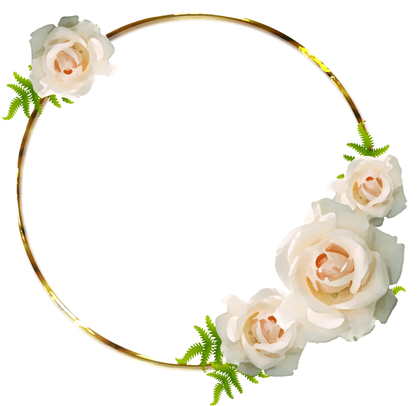 白い花のイラスト フリー素材 No 230 白バラ