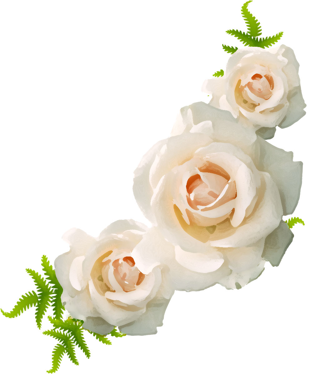 リアルタッチな花のイラスト フリー素材 No 361 白バラ