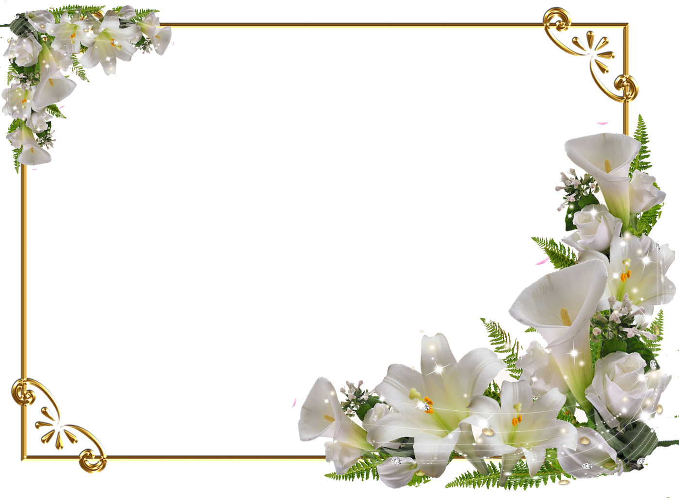 百合 ゆり の花の写真 画像 フリー素材 No 321 白ゆり コーナー