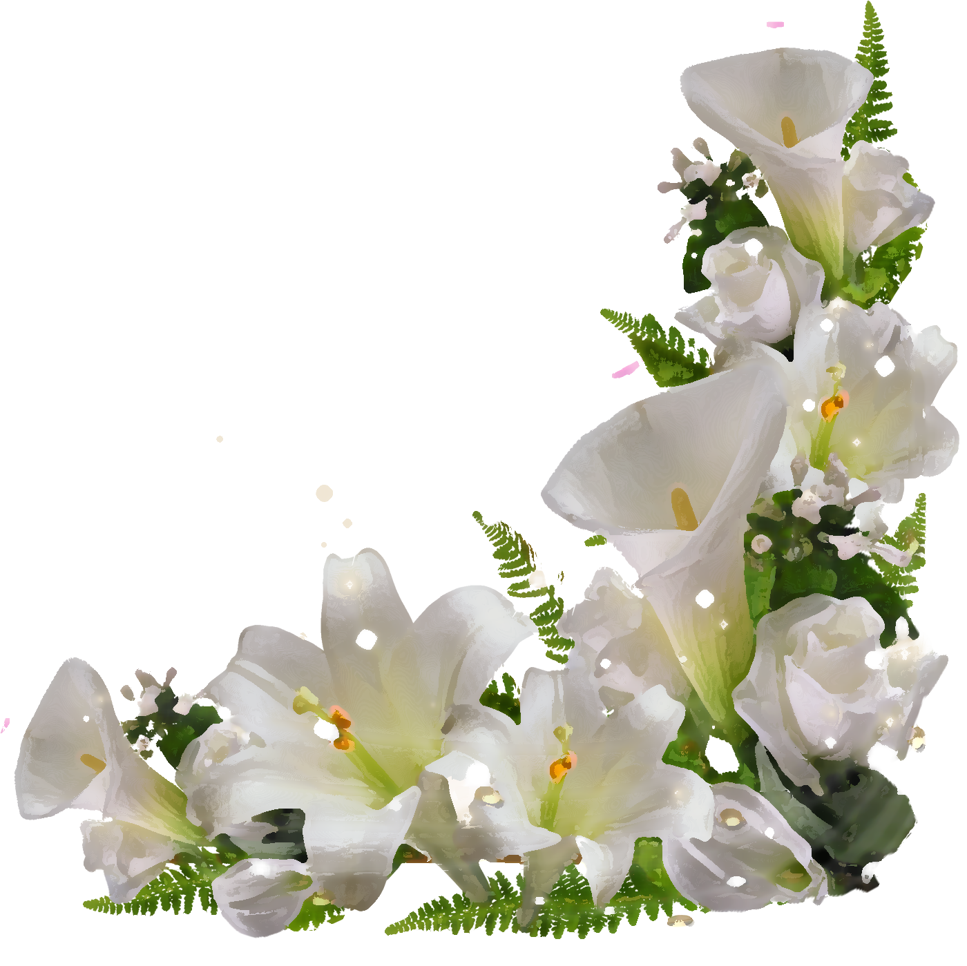 白い花のイラスト フリー素材 No 281 白ユリ 葉 光源