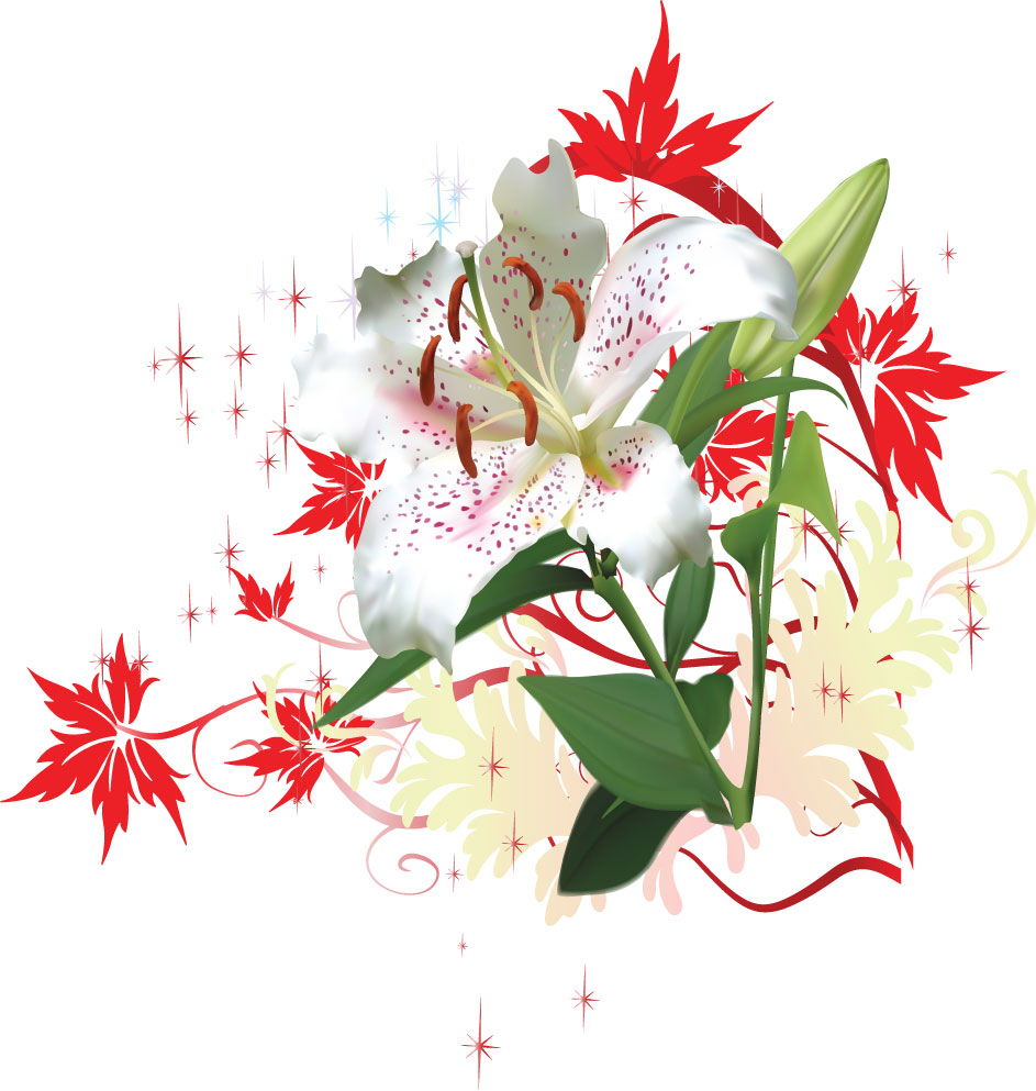 百合 ゆり の花の画像 イラスト フリー素材 No 079 白ゆり カサブランカ