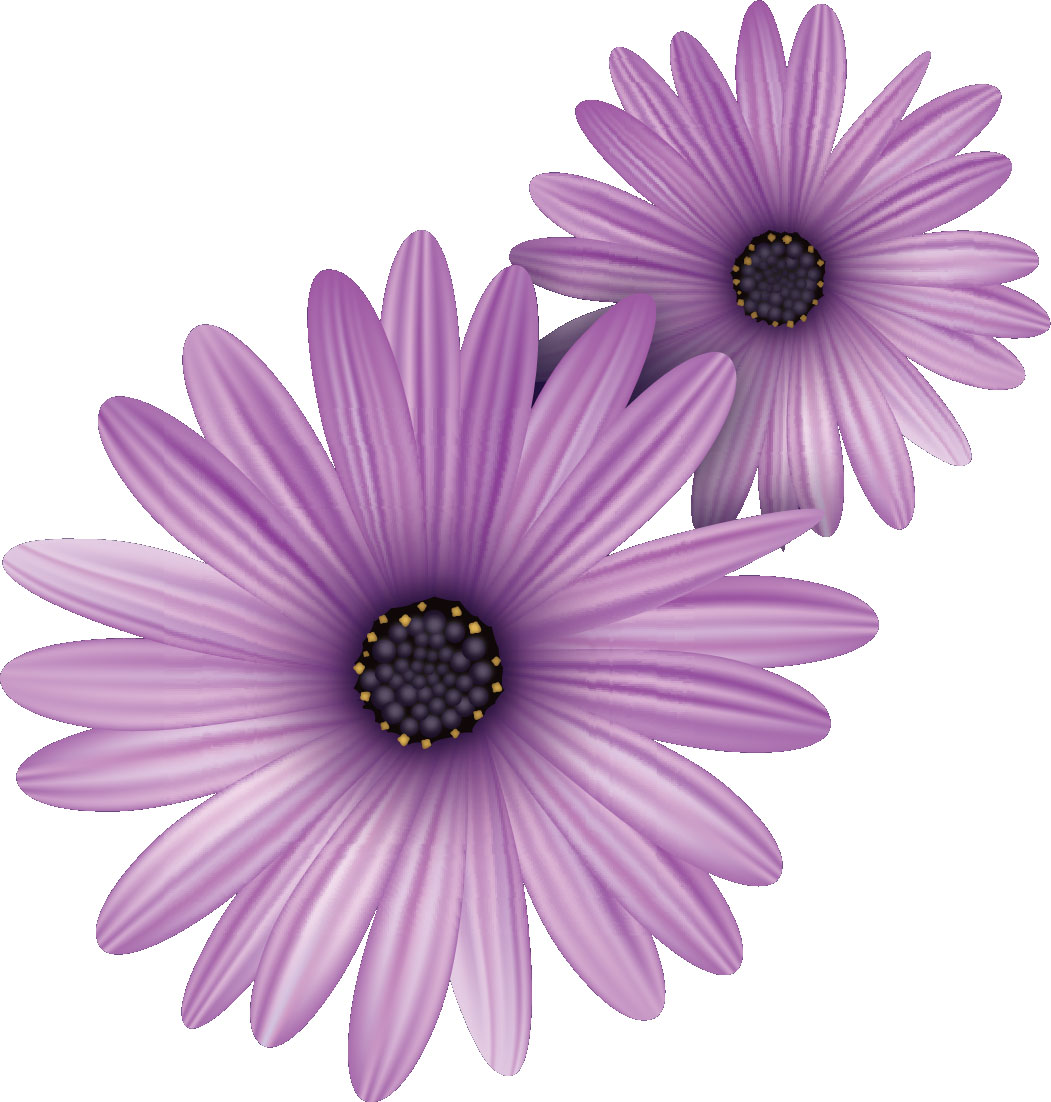 紫色の花のイラスト フリー素材 No 151 紫 2輪 重なり