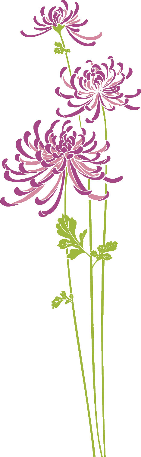 紫色の花のイラスト フリー素材 No 185 彼岸花 紫