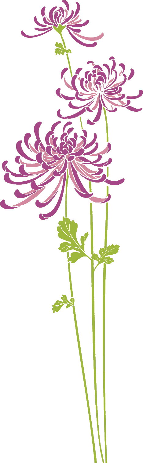 花のイラスト フリー素材 フレーム枠no 406 彼岸花 紫