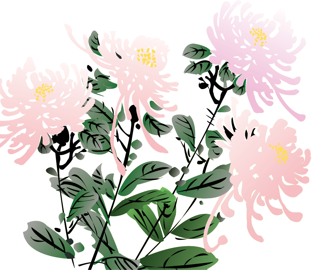 きく 菊 のイラスト 画像no 18 ピンクの菊 手書き風 無料のフリー素材集 百花繚乱
