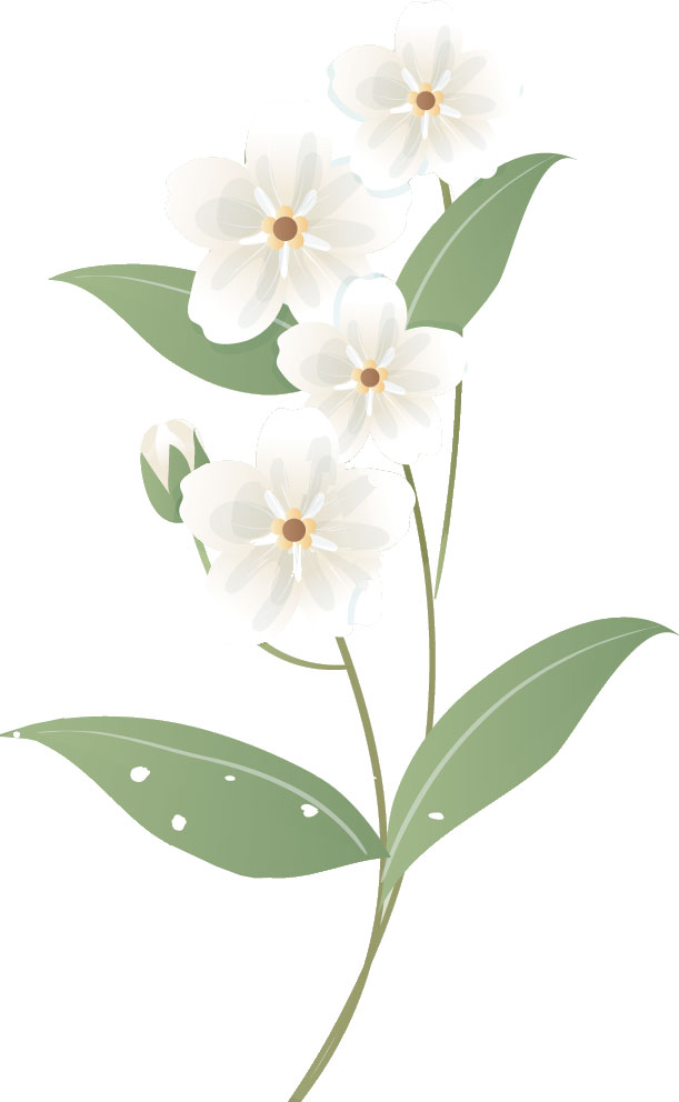 白い花のイラスト フリー素材 No 112 ホワイトフラワー