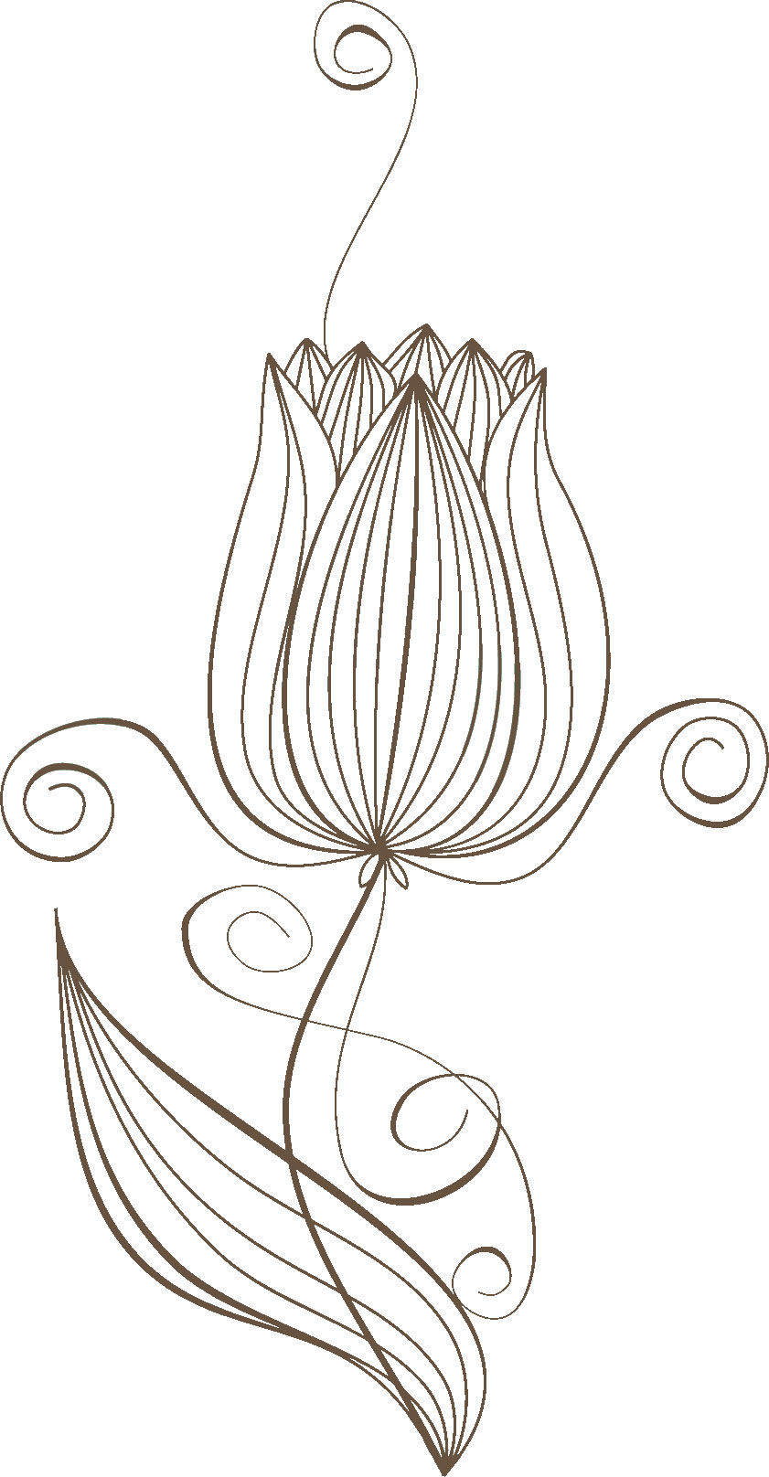 白黒の花のイラスト-チューリップ