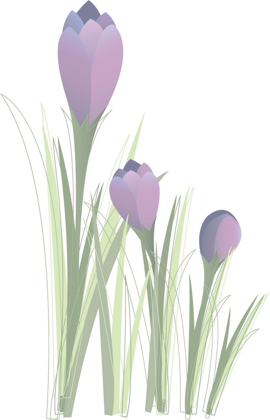 リアルタッチな花のイラスト フリー素材 No 179 紫 フリージア
