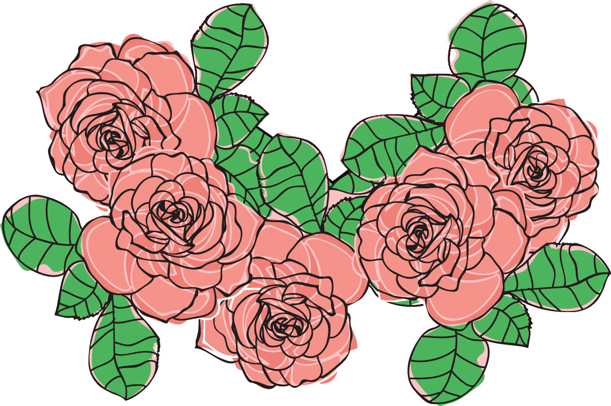 薔薇のイラスト見本-ピンクのバラ・葉