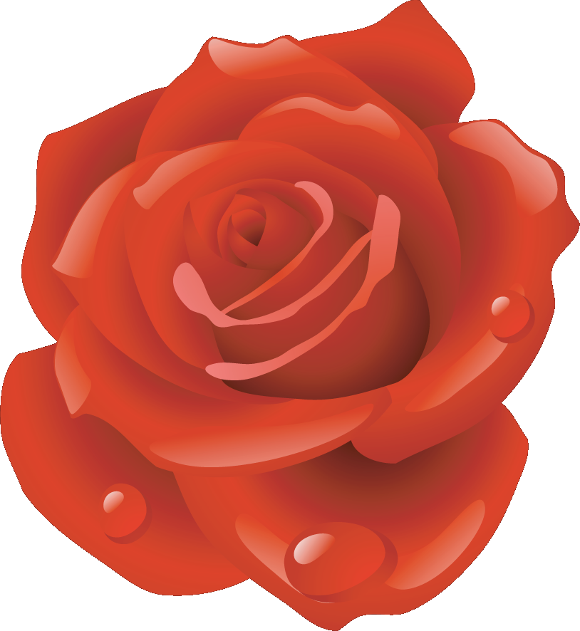 バラの画像 イラスト フリー素材 No 025 赤いバラ 水滴