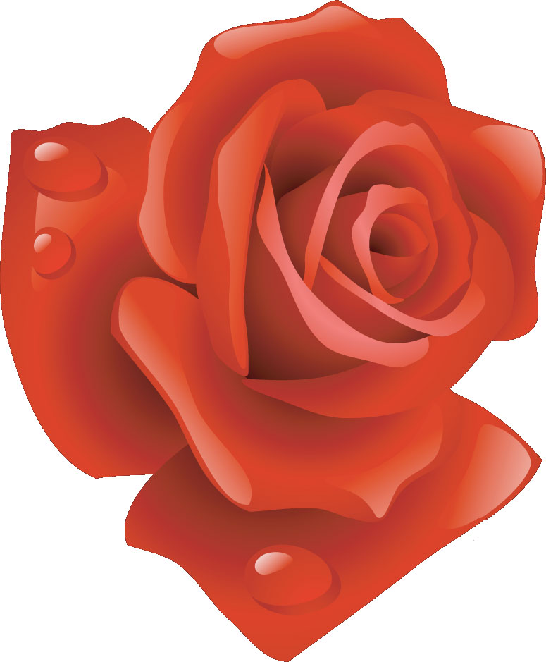 薔薇のイラスト見本-赤いバラ・水滴・右