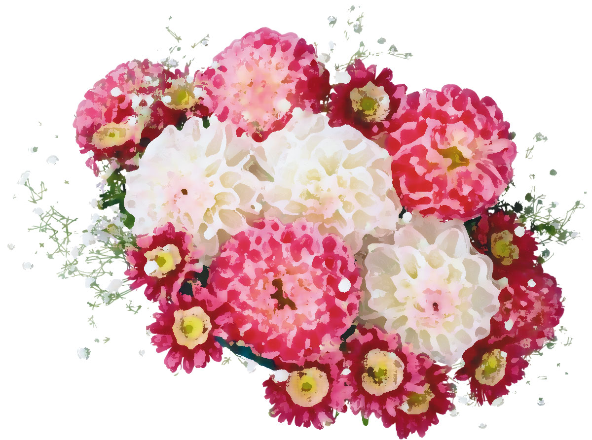 リアルタッチな花のイラスト フリー素材 No 631 ダリアの束 赤白