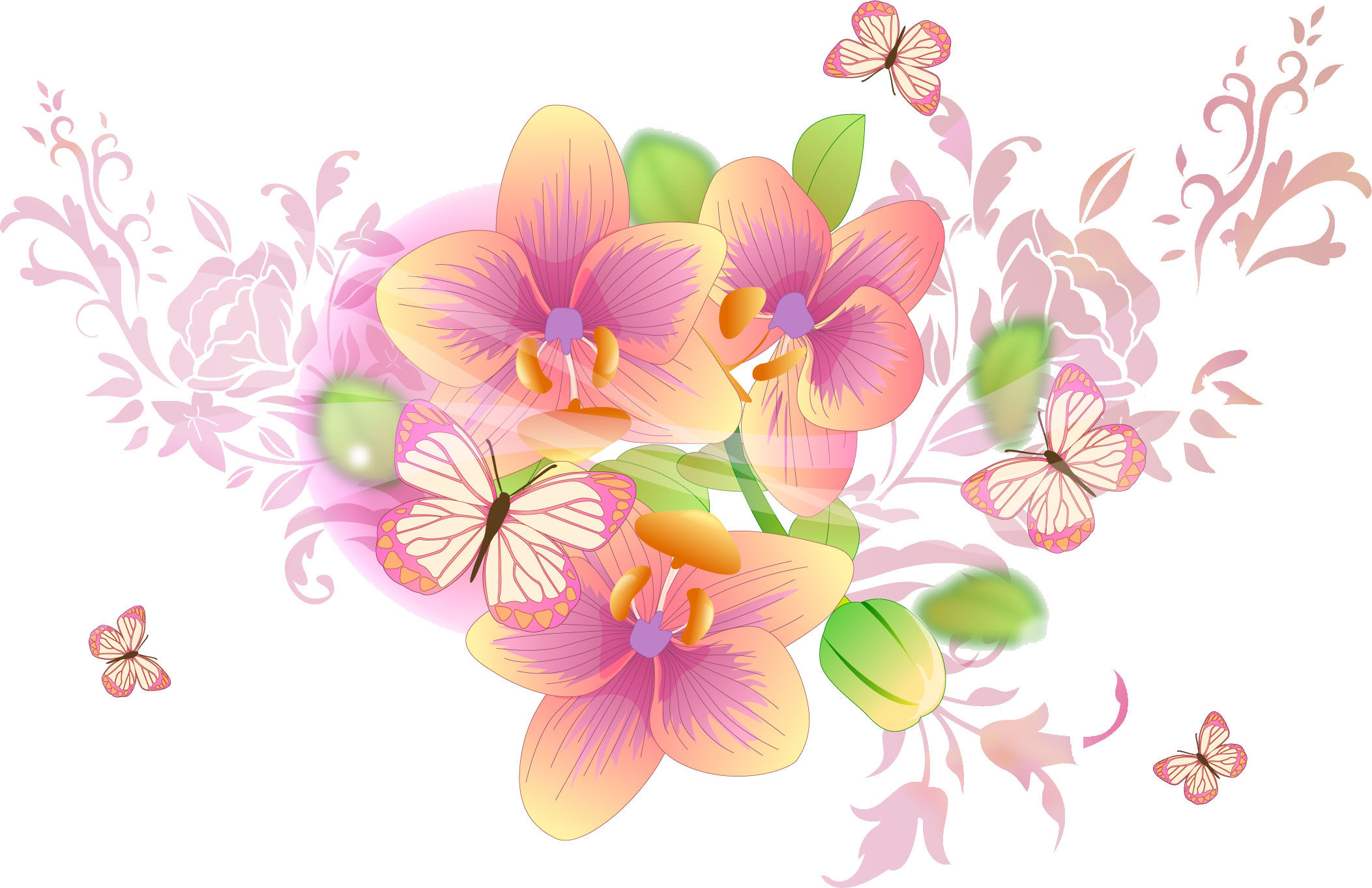ラン 蘭 のイラスト 画像no 85 ピンクのコチョウラン 無料のフリー素材集 百花繚乱