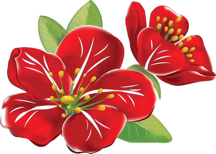赤い花のイラスト-赤・おしべ・葉