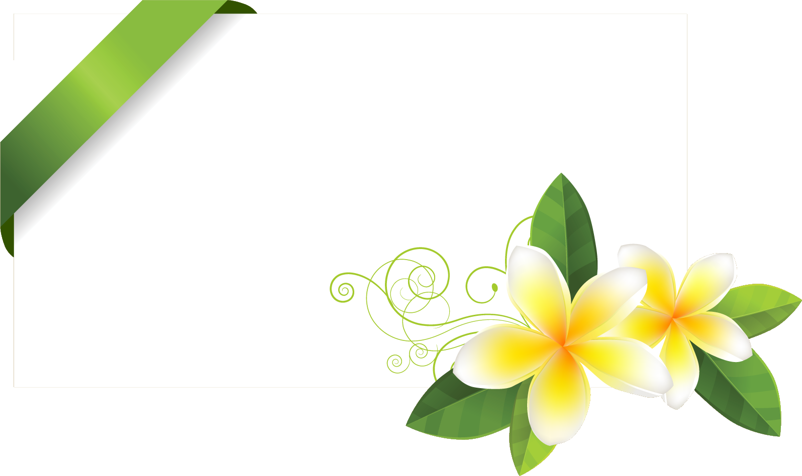 花のイラスト フリー素材 フレーム枠no 487 白いカード プルメリア
