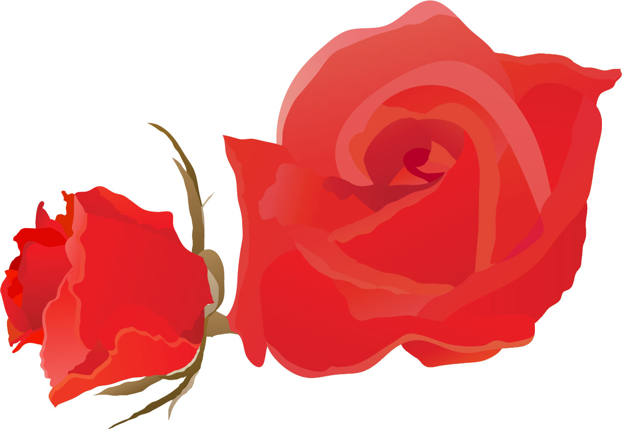 薔薇のイラスト見本-赤いバラ二輪