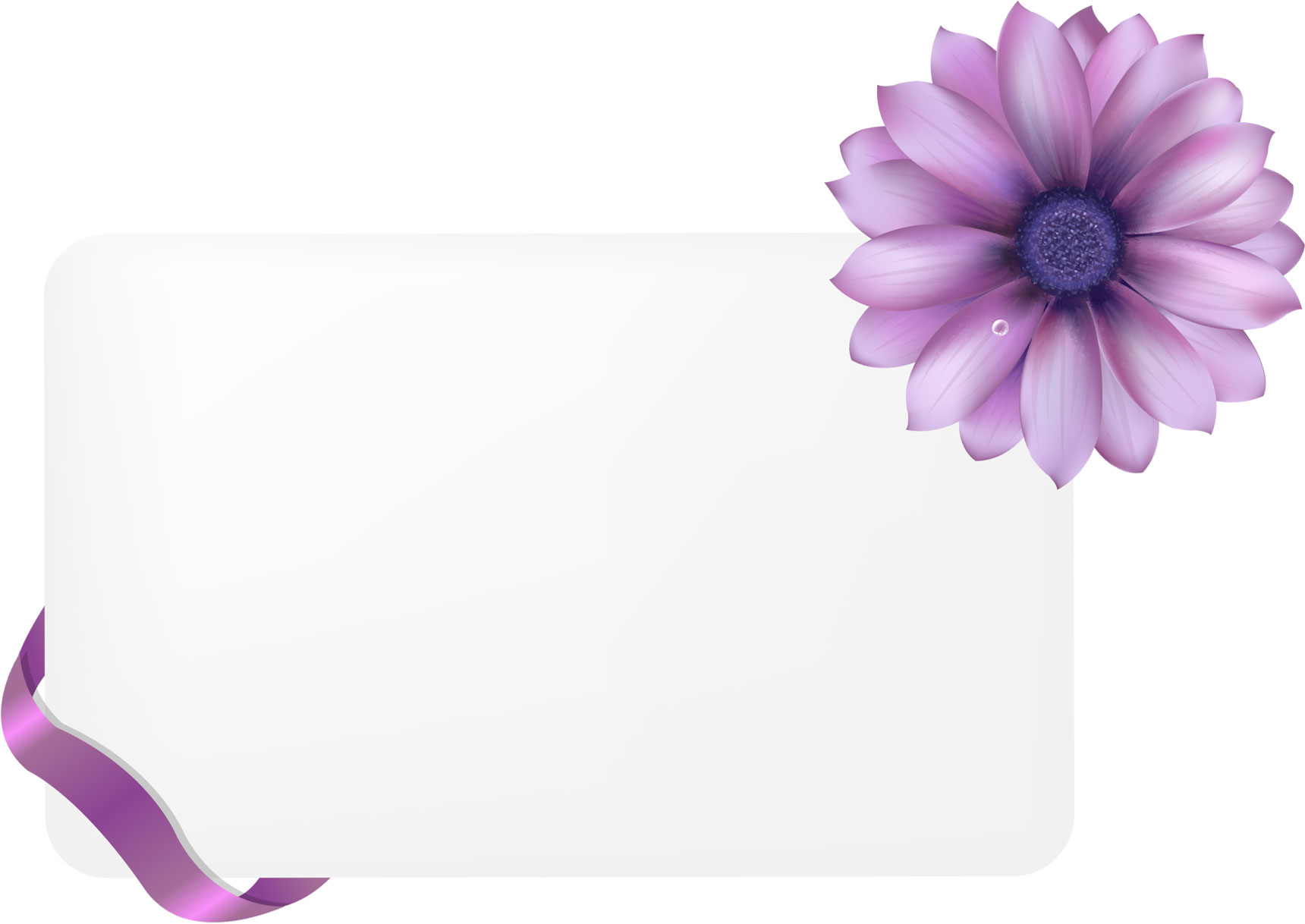 花のフレーム枠イラスト-紫・リボン・白カード