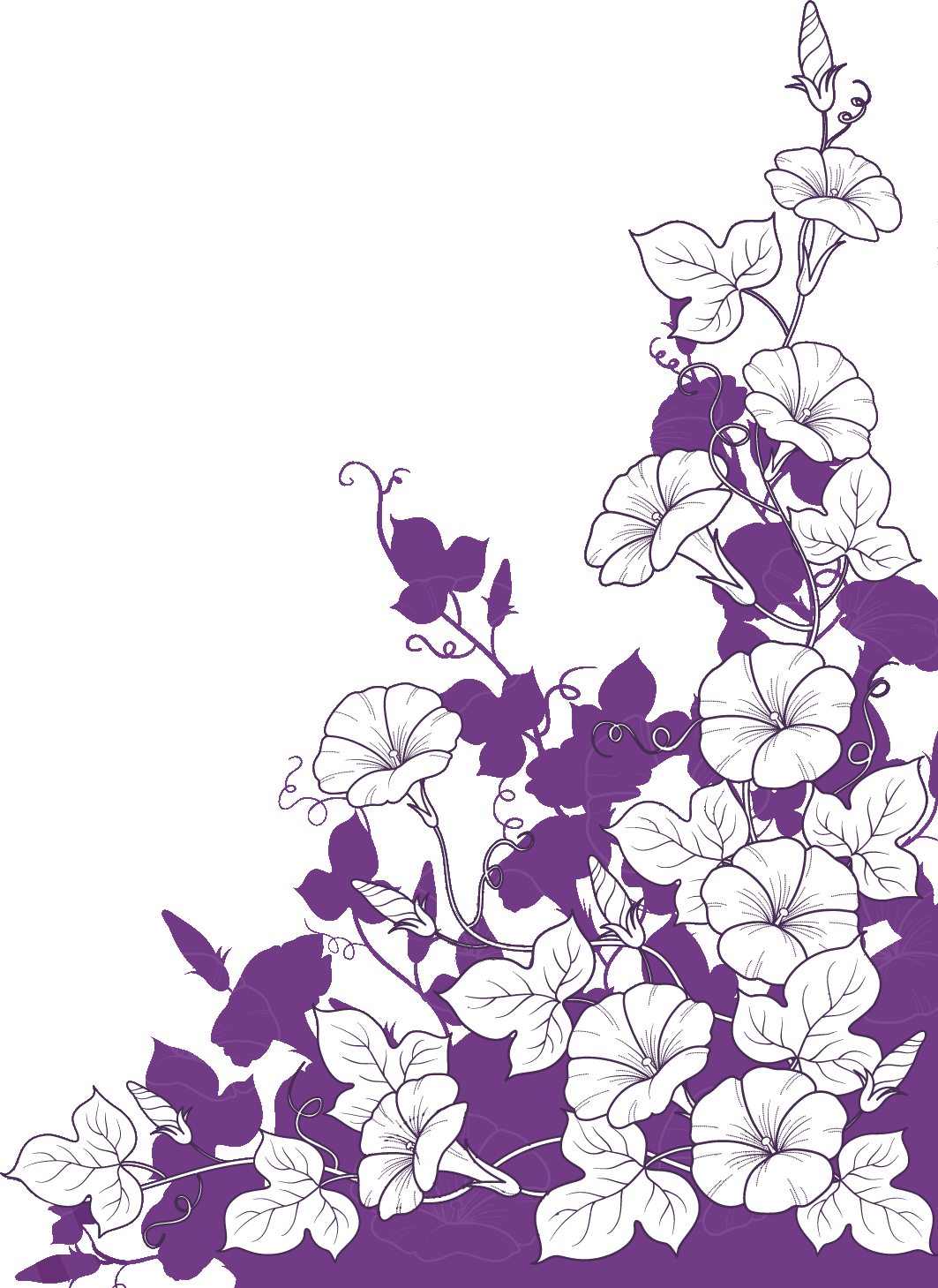 白黒 モノクロの花のイラスト フリー素材 ライン線 コーナー用no 8 アサガオ 紫