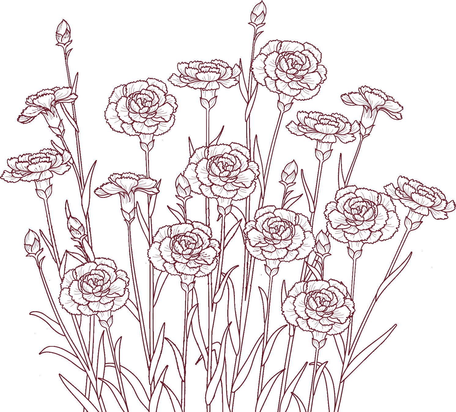 白黒の花のイラスト-群生・透過色・つぼみ