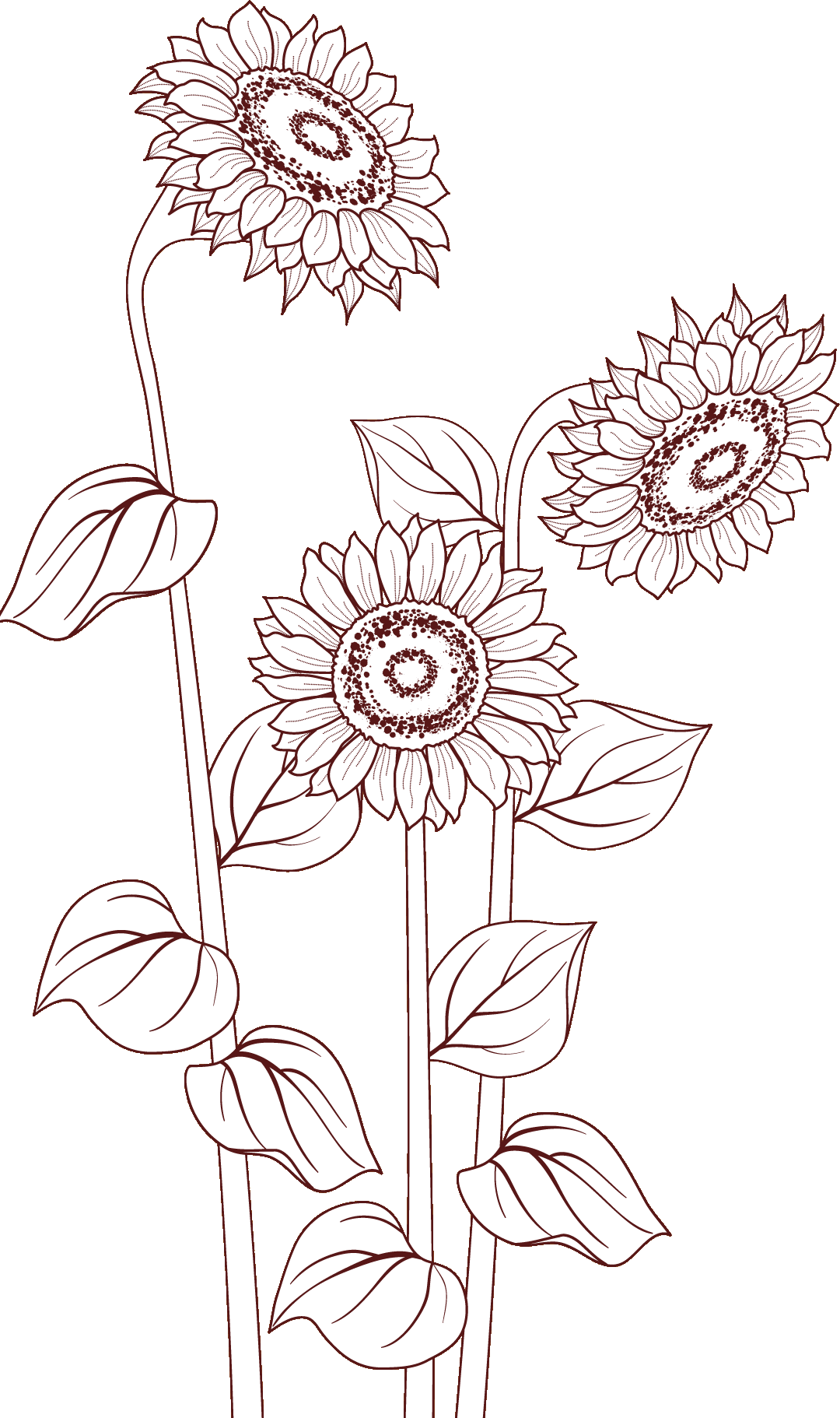 花のイラスト フリー素材 白黒 モノクロno 035 ひまわり 透過色