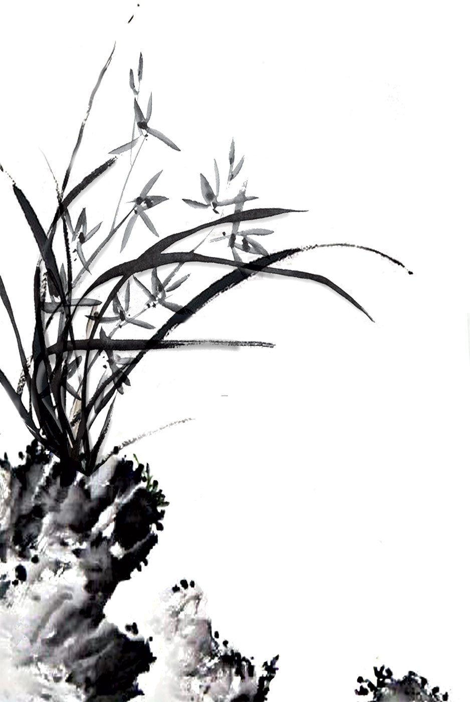 白黒 モノクロの花のイラスト フリー素材 ライン線 コーナー用no 8 水墨画風