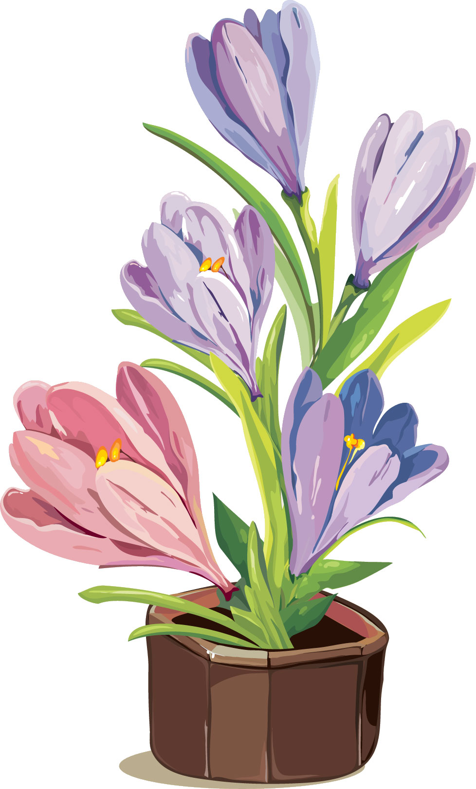 紫色の花のイラスト フリー素材 No 278 フリージア 鉢