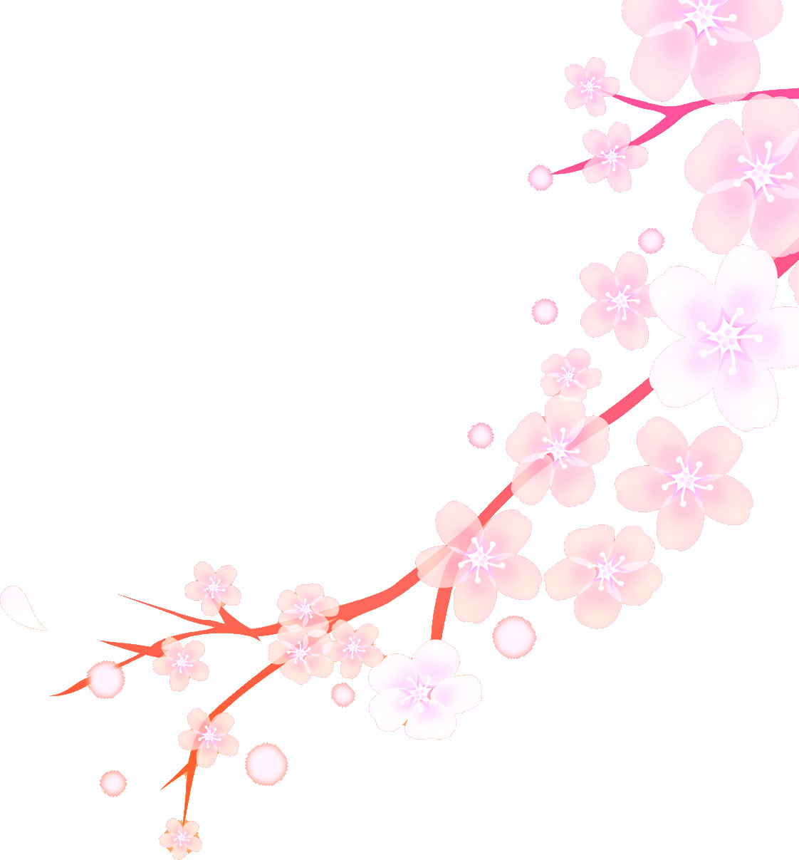 ピンクの花のイラスト フリー素材 No 367 桜 枝 淡い