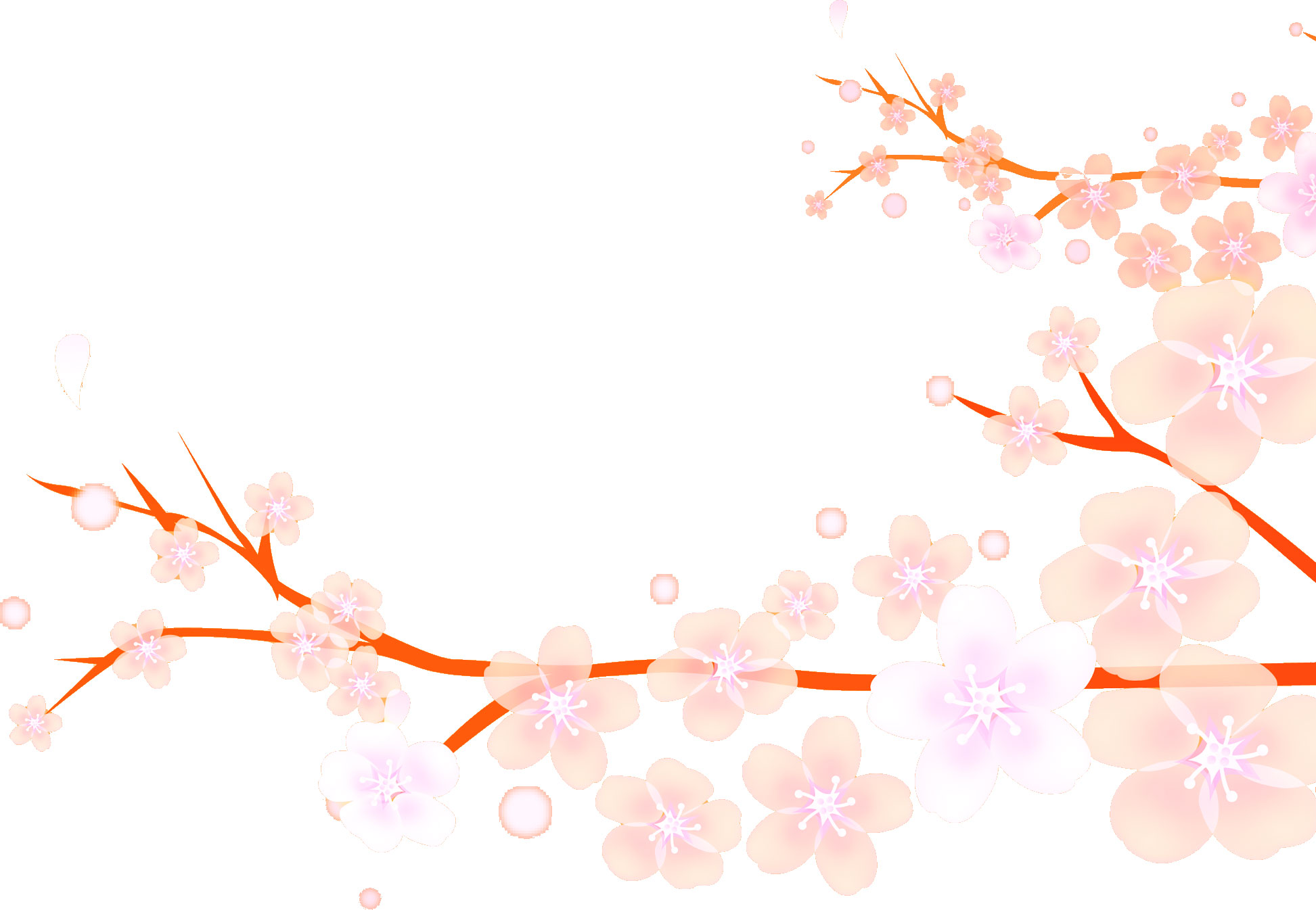 桜 さくら の画像 イラスト フリー素材 No 023 桜 枝 淡い