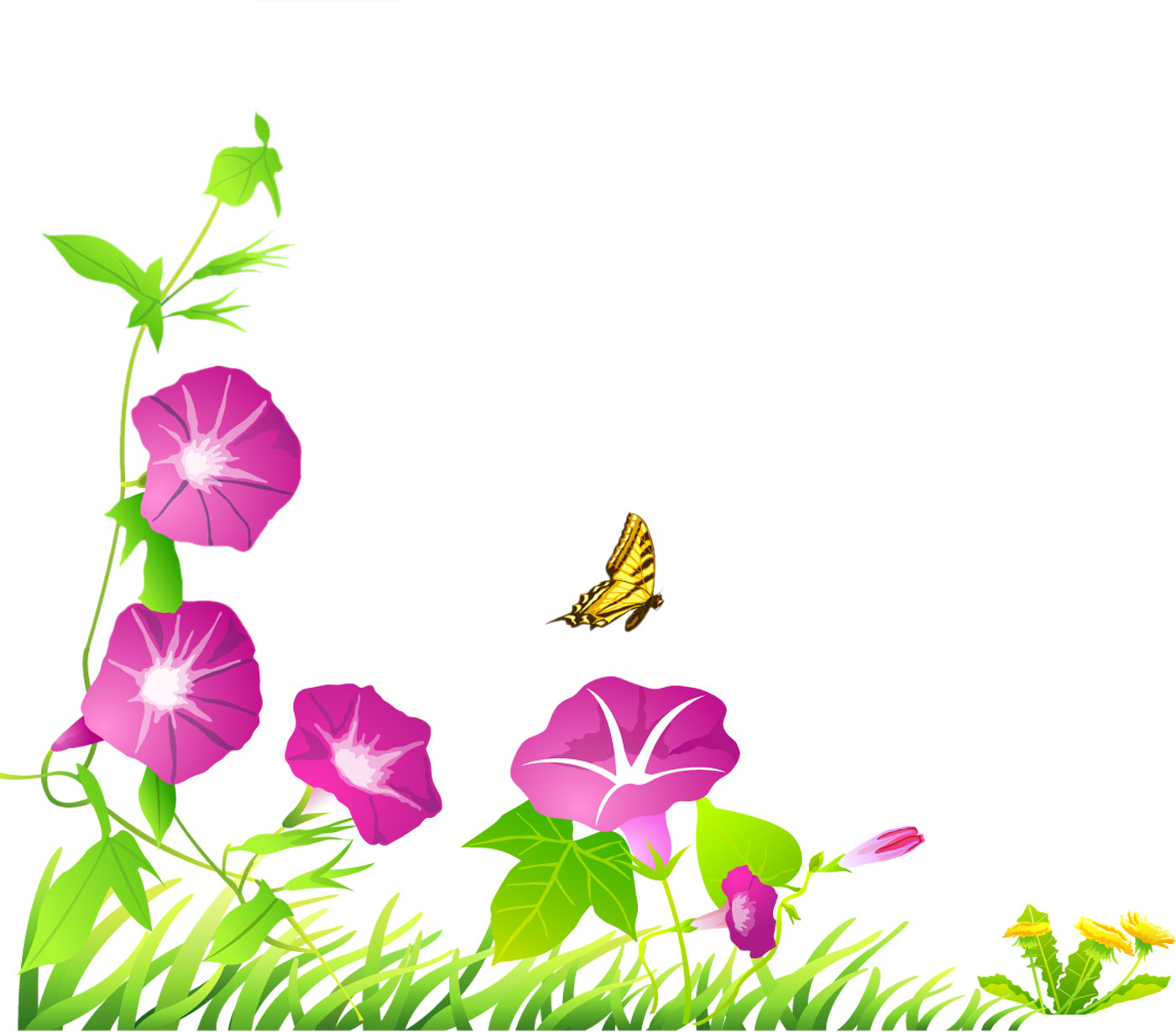 リアルな花のイラスト フリー素材 角 コーナー用no 1512 紫あさがお 蝶