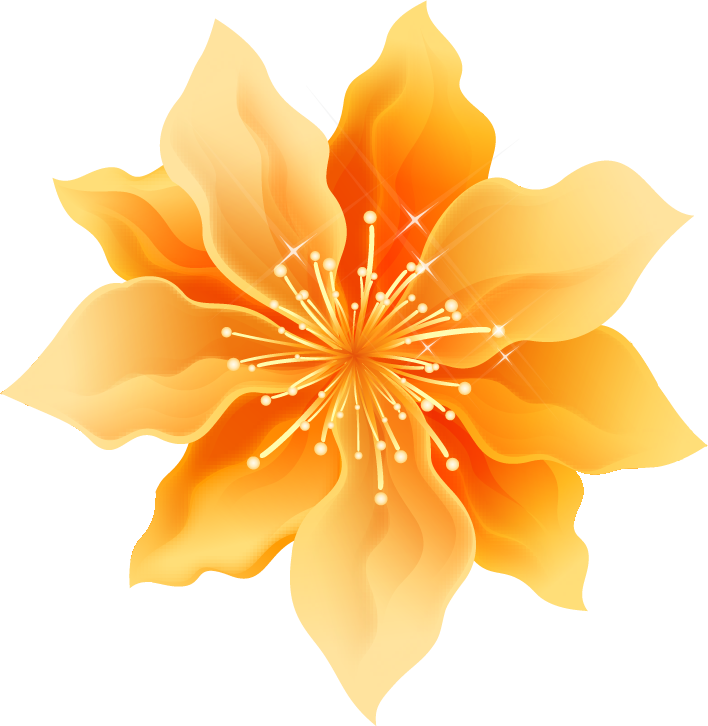 オレンジ色の花のイラスト フリー素材 No 019 淡いオレンジ おしべ