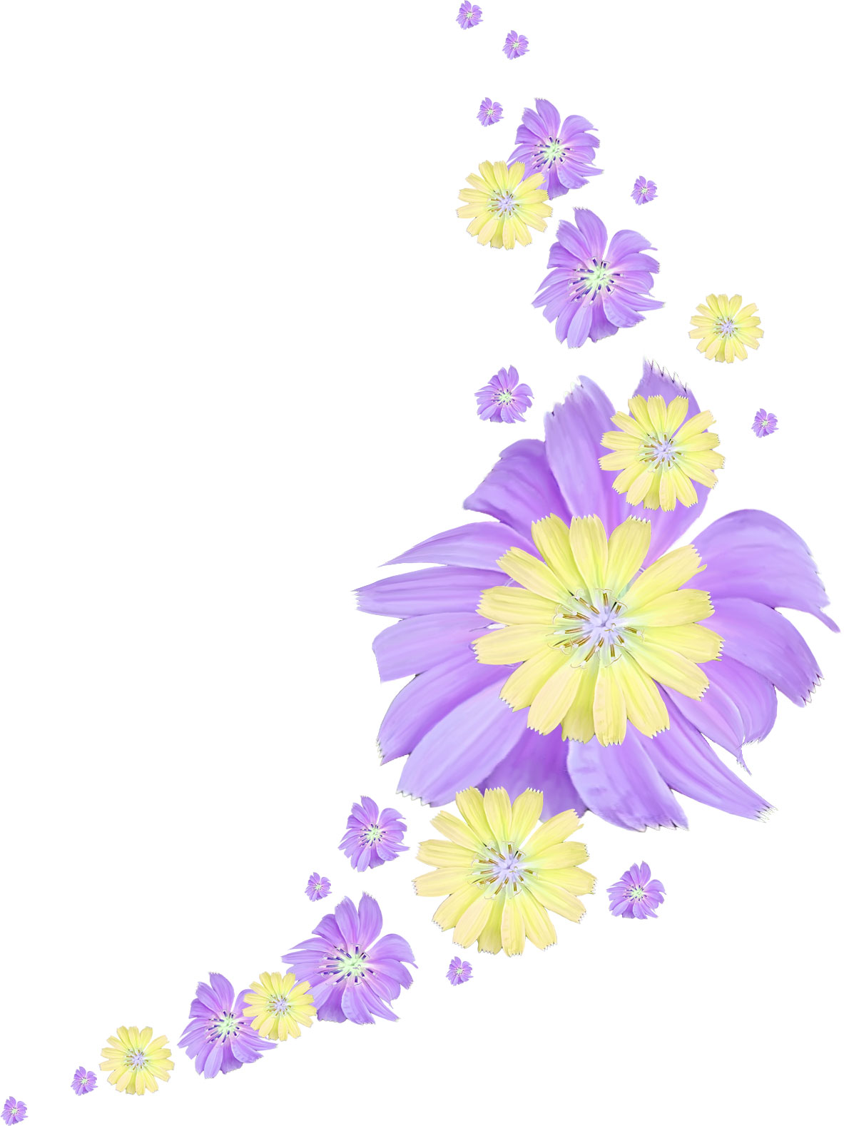ポップでかわいい花のイラスト フリー素材 No 046 紫 黄 大小