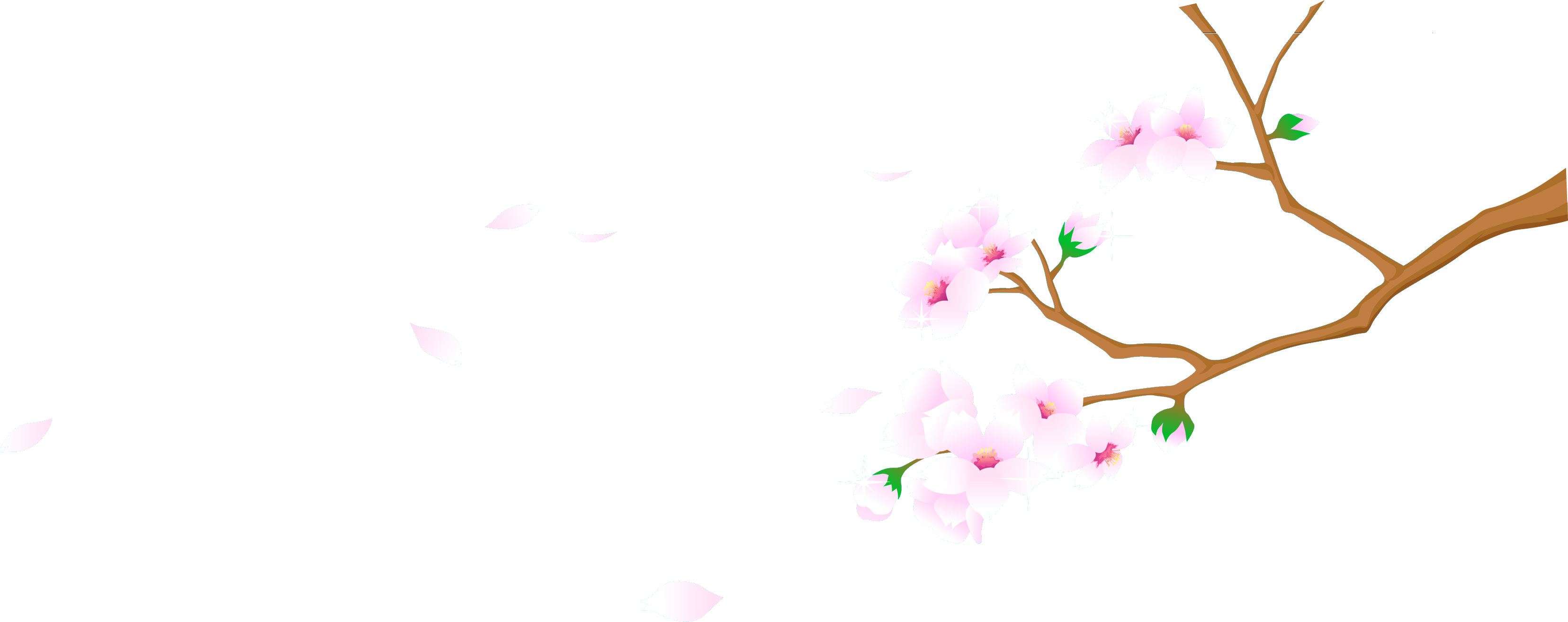 ピンクの花のイラスト フリー素材 No 369 舞い散る桜