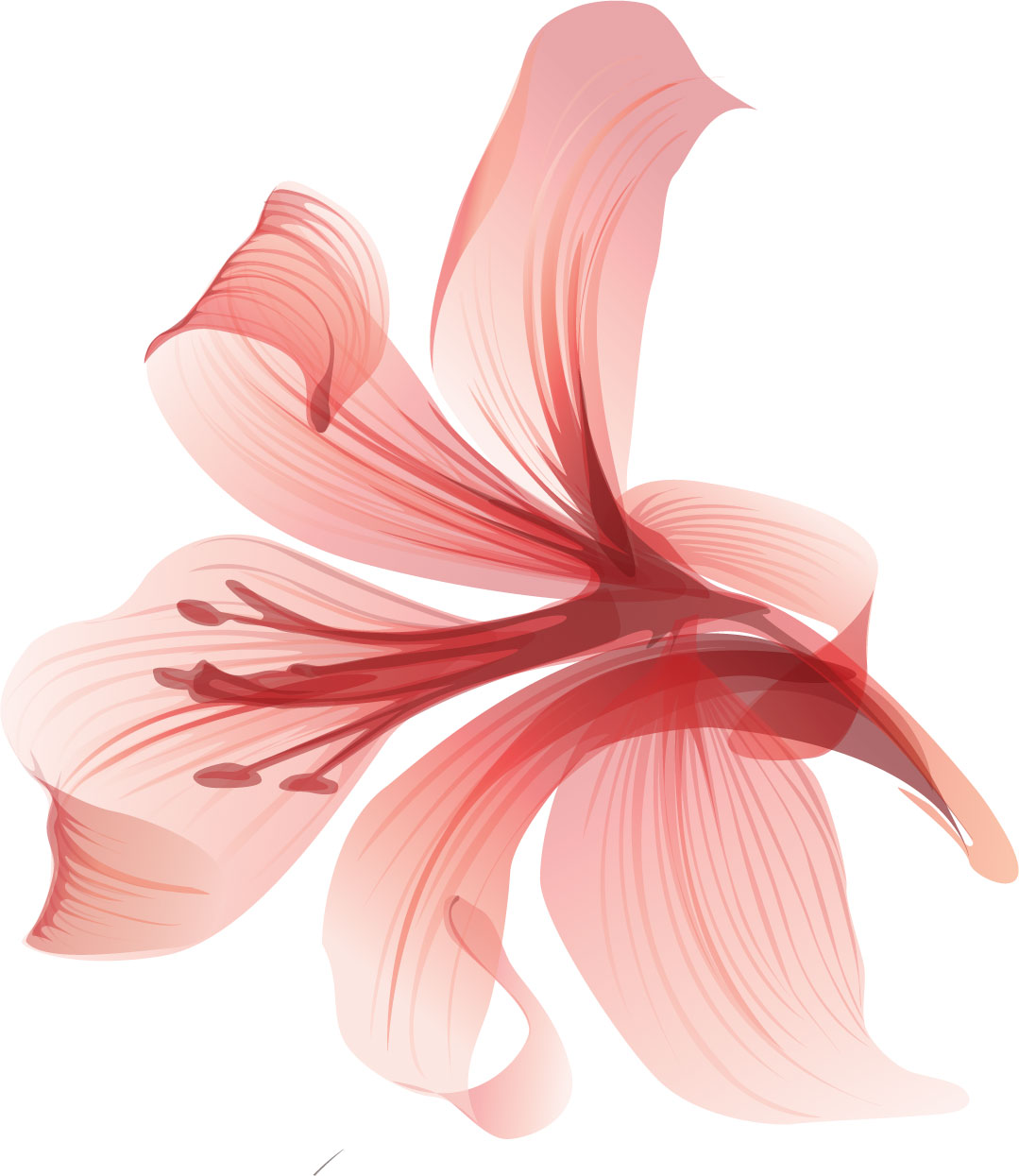 百合 ゆり の花の画像 イラスト フリー素材 No 021 ピンク おしべ 一輪