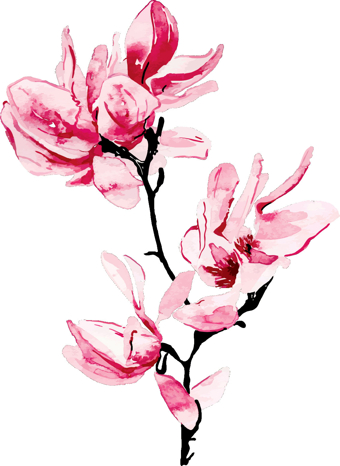 ピンクの花のイラスト フリー素材 No 371 ピンク 枝 水彩画風
