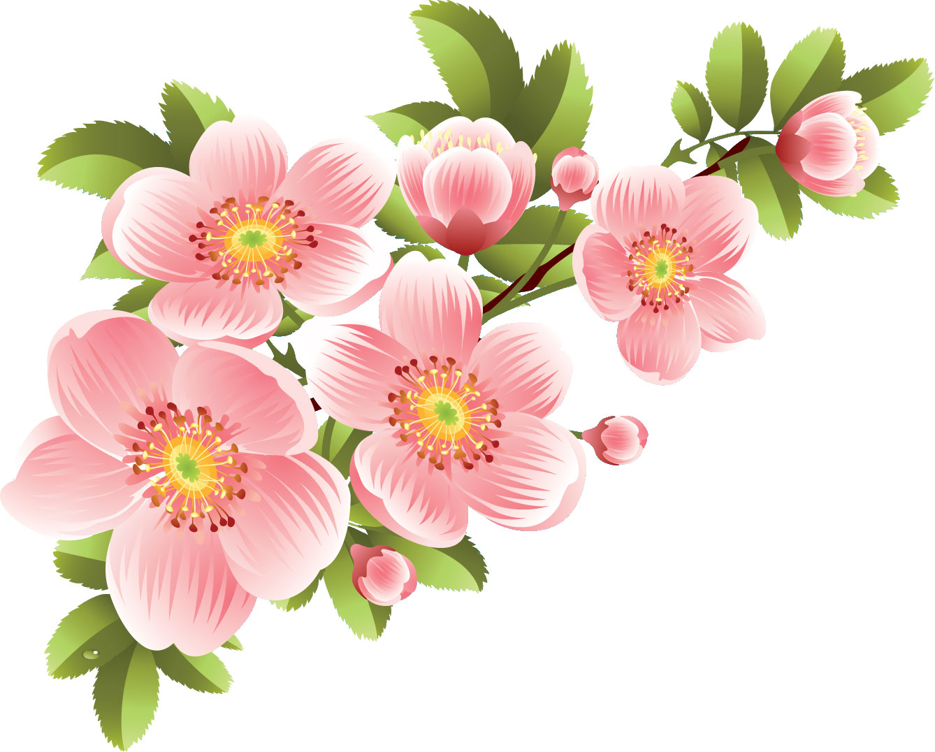 桜 さくら の画像 イラスト フリー素材 No 011 桜 ピンク つぼみ 葉