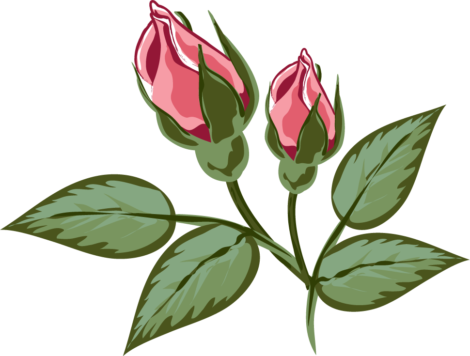 リアルタッチな花のイラスト フリー素材 No 251 赤いつぼみ 葉
