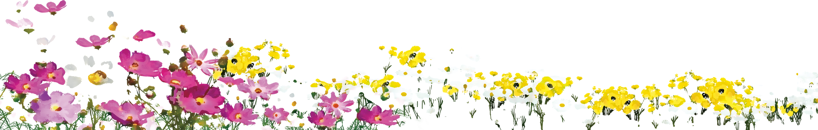 リアルタッチな花のイラスト フリー素材 No 1063 花畑 カラフル