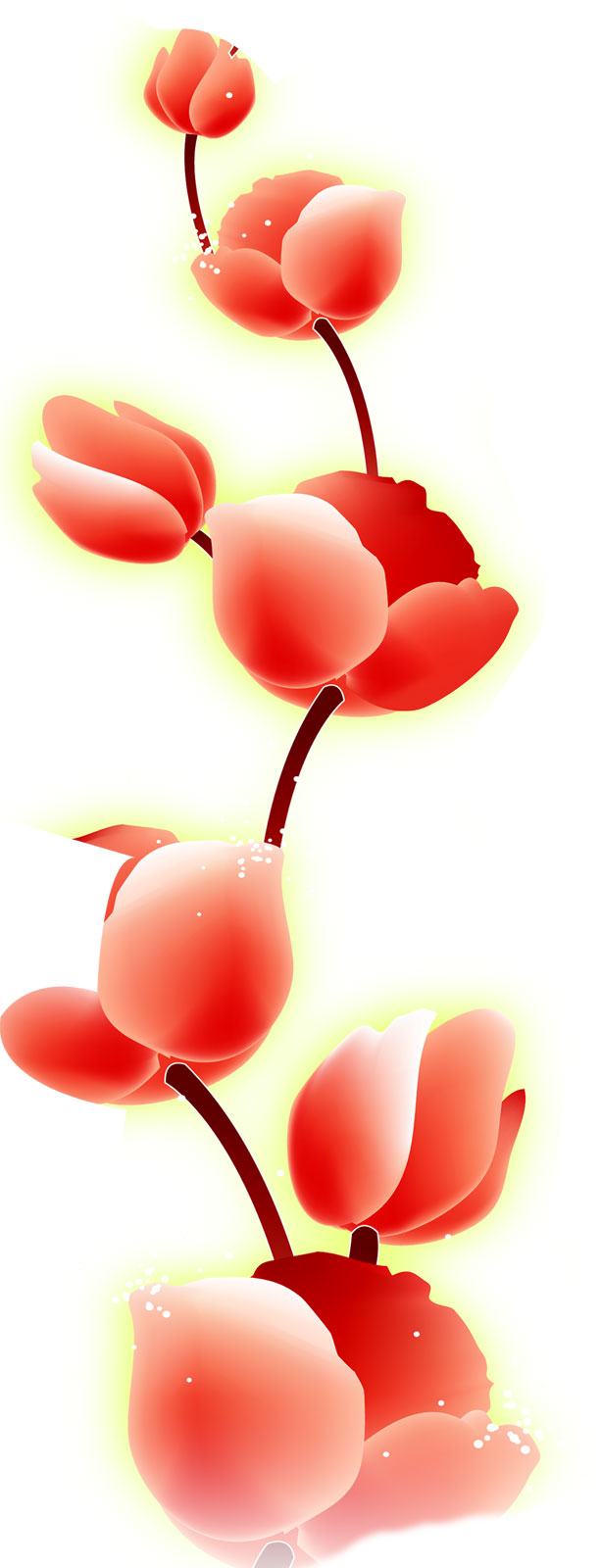 花のライン線イラスト-赤い花びら・光彩