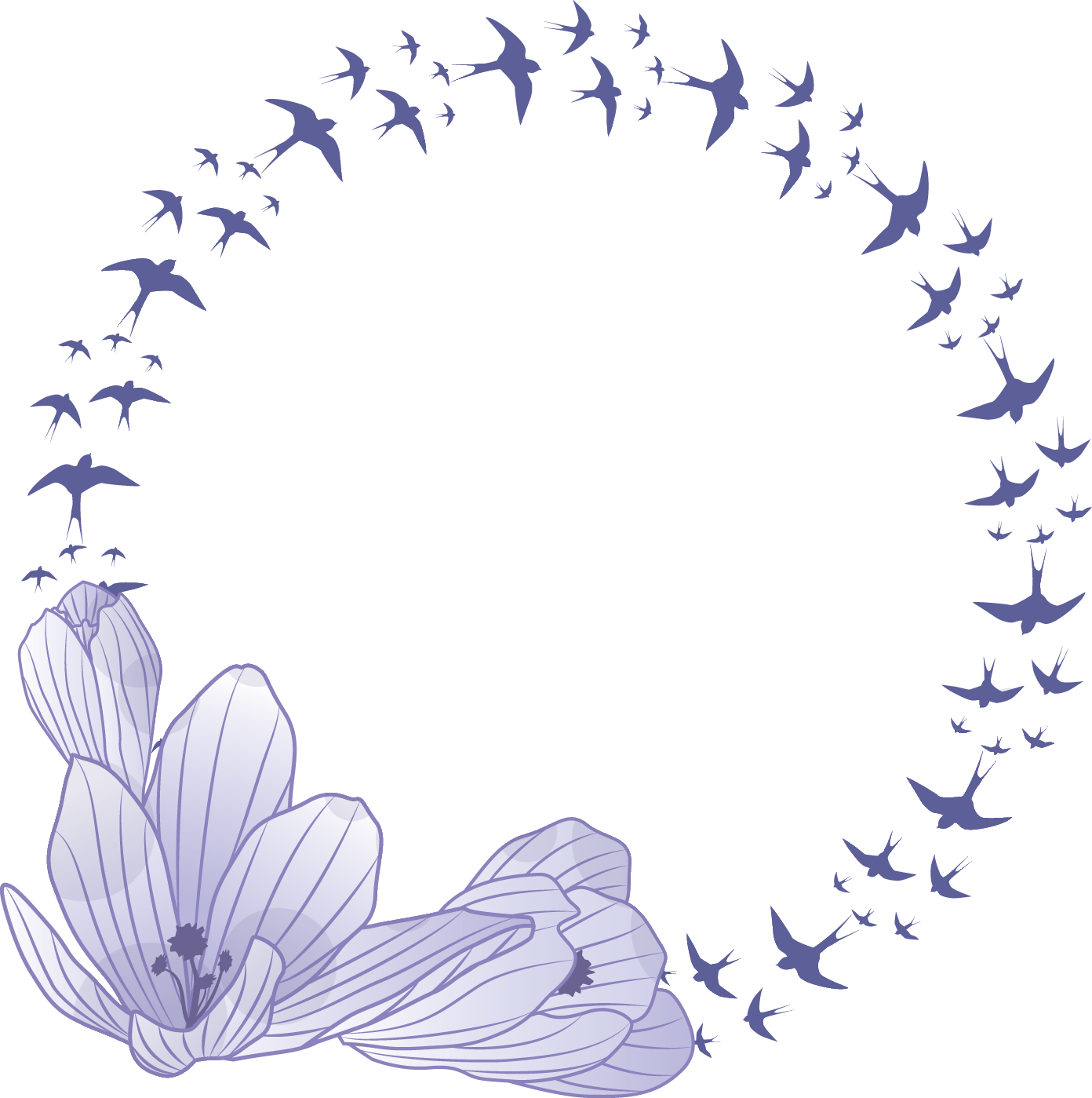 百合 ゆり の花の画像 イラスト フリー素材 No 144 水色 縦しま 鳥