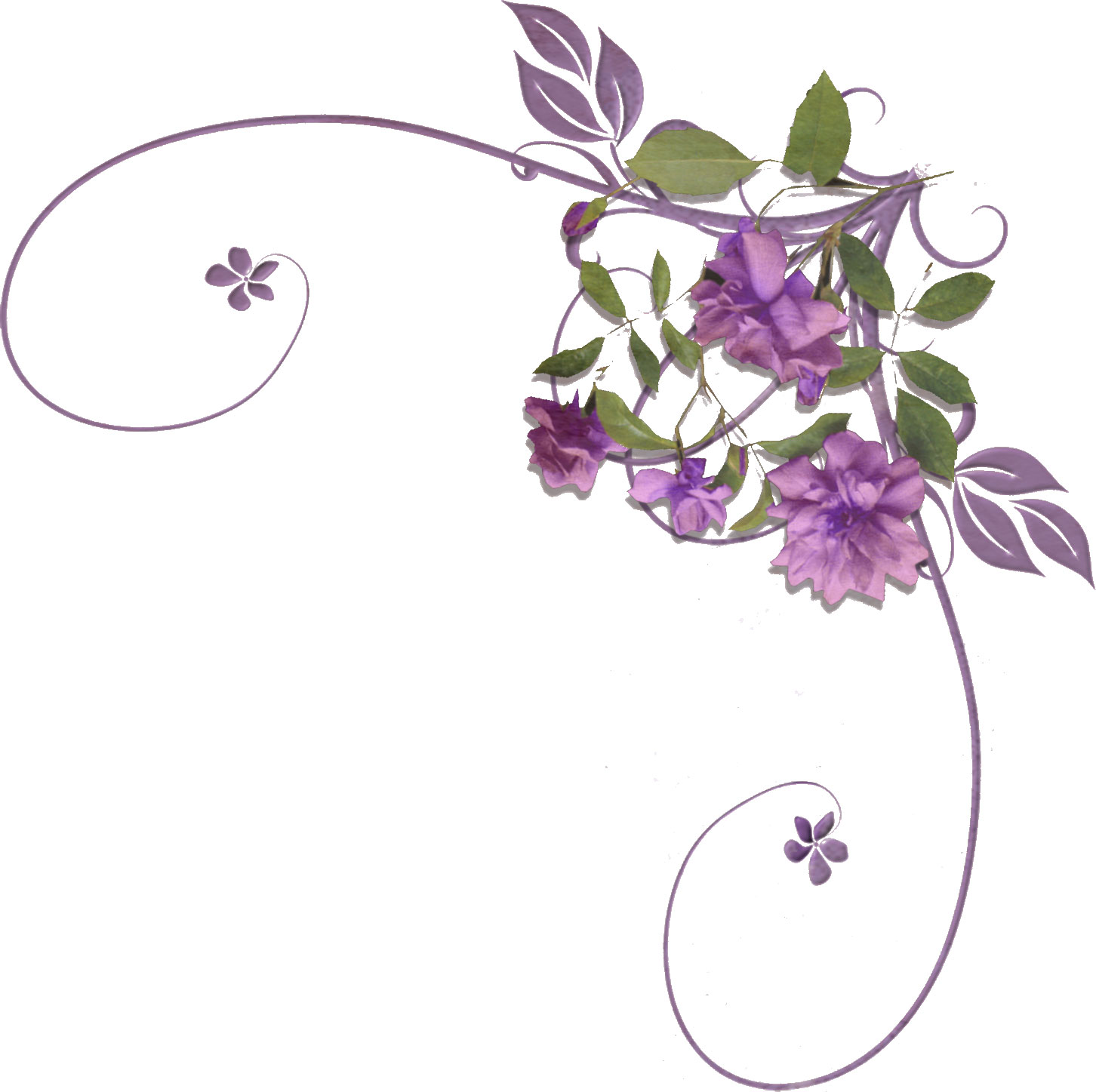 紫色の花のイラスト フリー素材 No 373 紫 葉 蔓