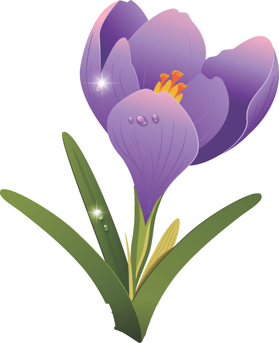 青い花のイラスト フリー素材 No 086 フリージア 紫