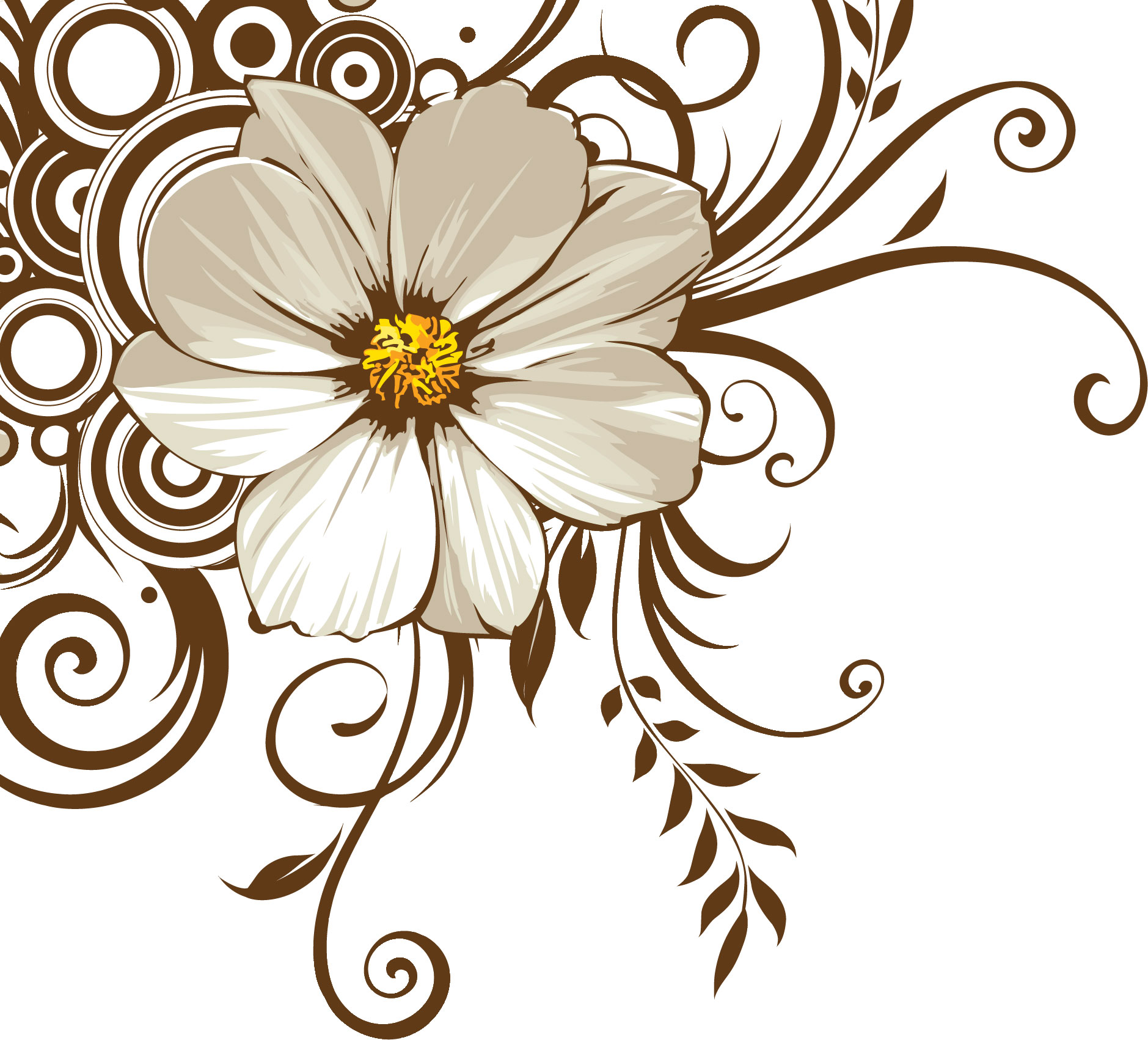 白い花のイラスト フリー素材 No 287 白 茎葉 蔓