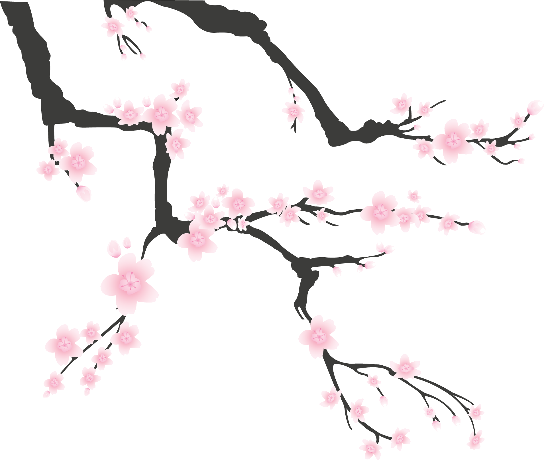 ピンクの花のイラスト フリー素材 No 374 梅 桃 桜 枝