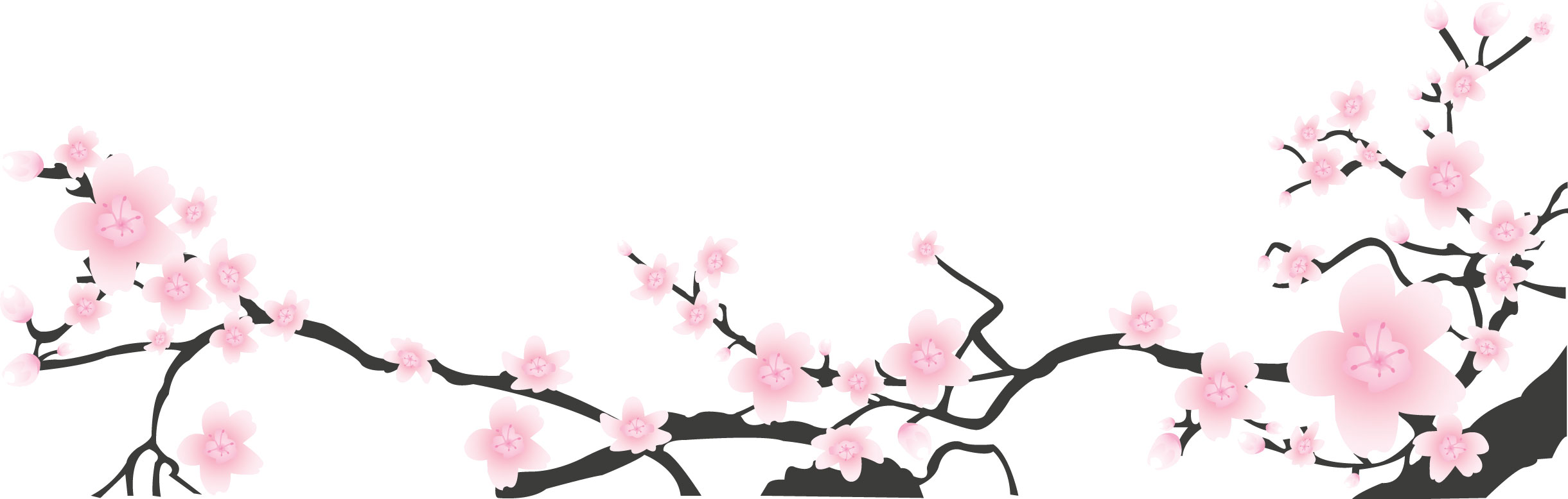 ピンクの花のイラスト フリー素材 No 375 梅 桃 桜 枝